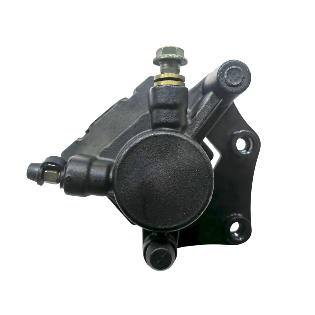 CALIPER POSTERIOR 200X6