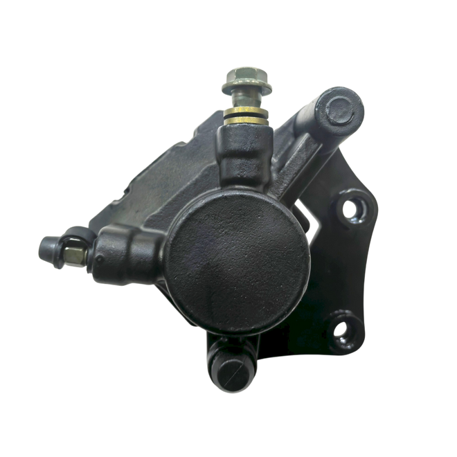 CALIPER POSTERIOR 200X6